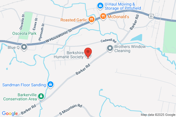 Berkshire Humane Society