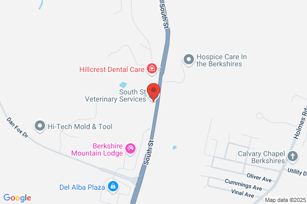 South St Veterinary Services