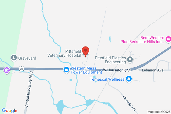 Pittsfield Veterinary Hospital