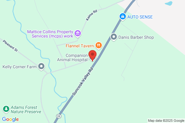 Companion Animal Hospital