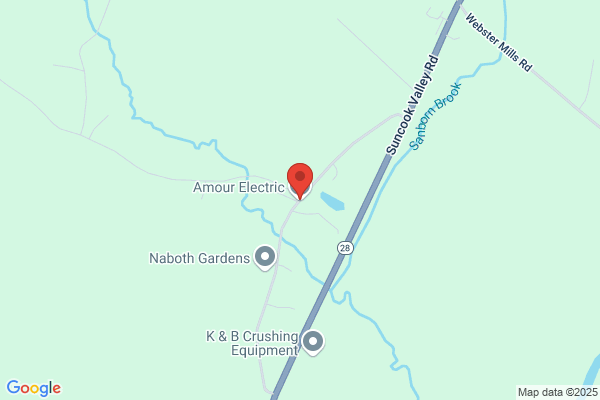 Amour Electric