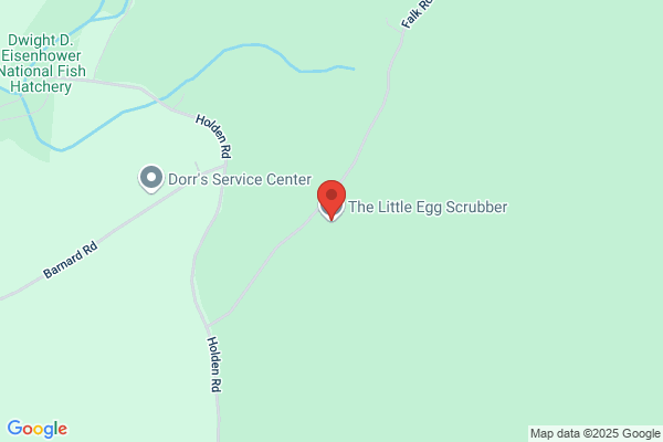 The Little Egg Scrubber