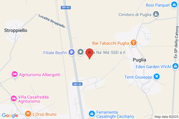 Pangea Food Service