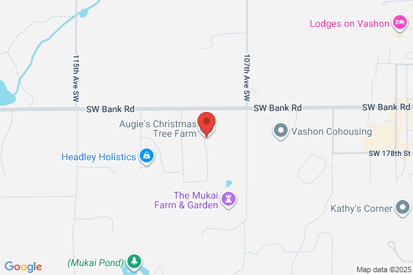 Augie's Tree Farm