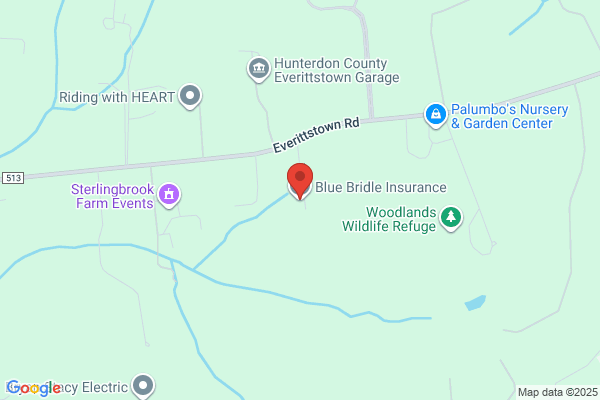 Blue Bridle Insurance Agency Inc