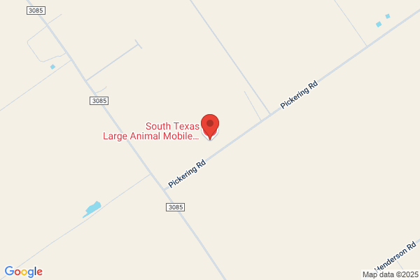 South Texas Large Animal Mobile Veterinary Services, PLLC