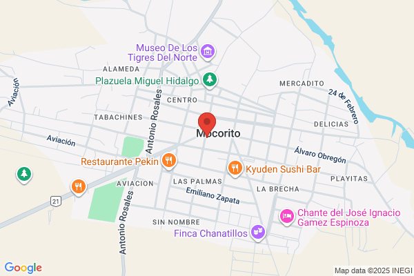 Taqueria Mocorito