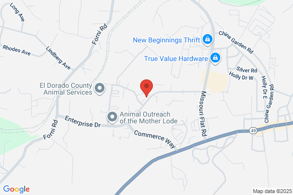 Foothill Tree Service