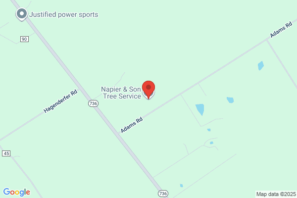Napier & Son Tree Service