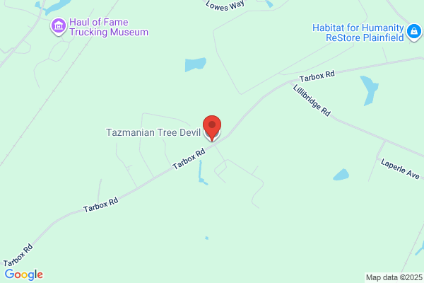 Tazmanian Tree Devil