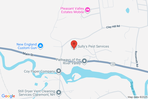 Sully's Pest Services