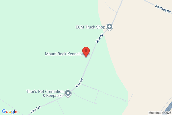 Rockledge Kennels