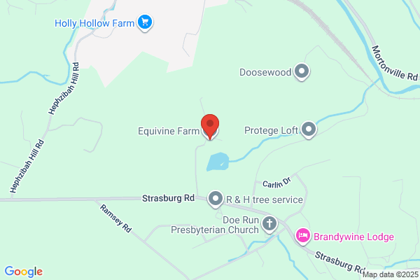 Equivisions Farm