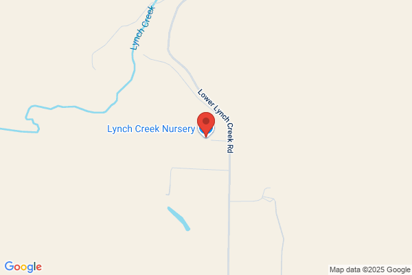 Lynch Creek Nursery