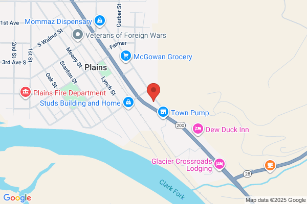 NAPA Auto Parts - Plains Auto Parts