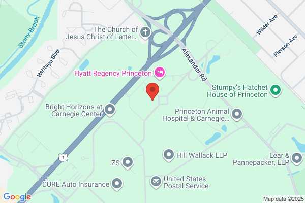 Princeton Consultants Inc
