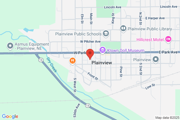 Nyecom Plainview Telephone Co Inc