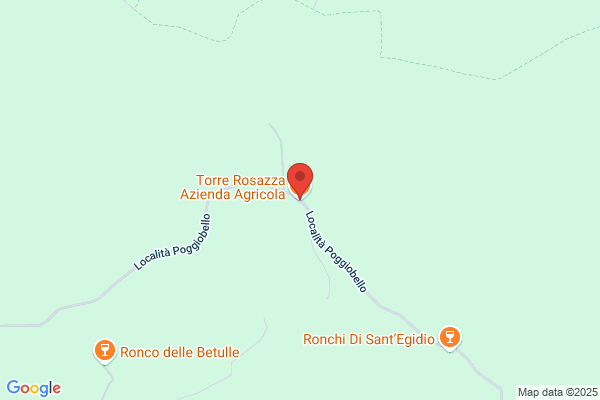 Rosara Torrisi, LMSW