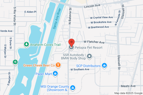 V & E Tree Trimming Services