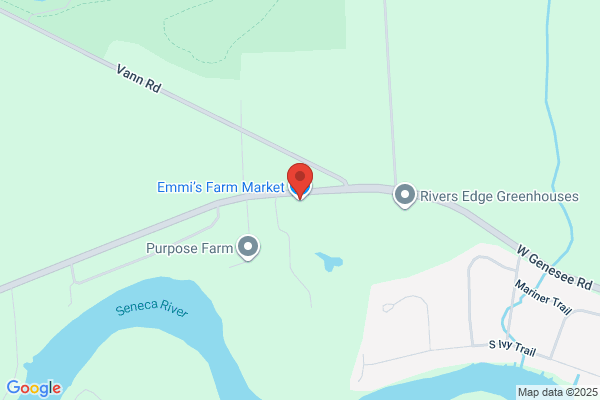 Emmi & Sons