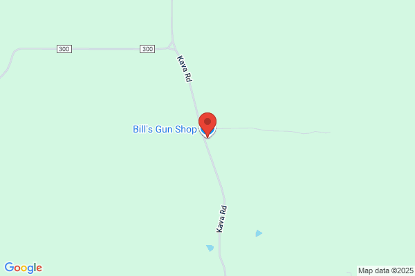 Bill's Rapid Gun Repair