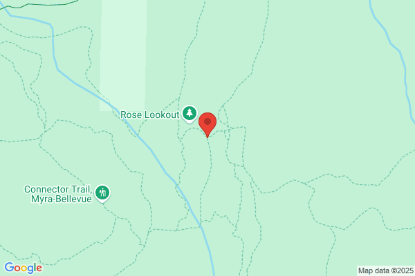 Teddy Bear Junction