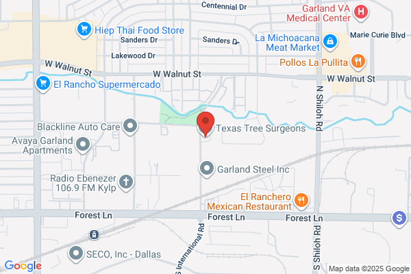 Dallas Tree Surgeons