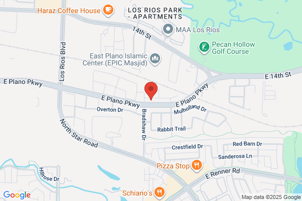 Tree Care Plano