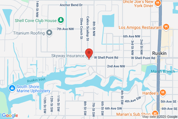 Skyway Insurance Inc