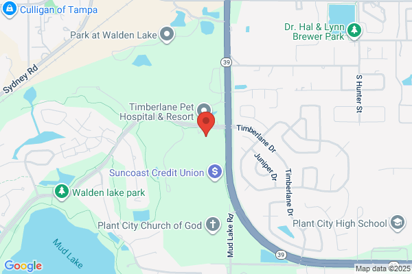 Internal Medicine Associates of Plant City