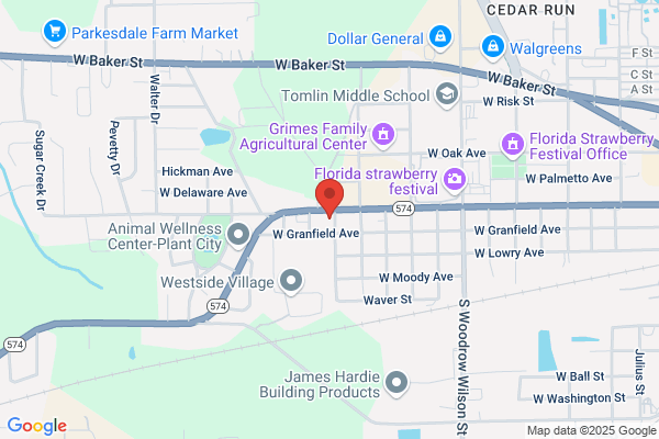 General Trade & Investments