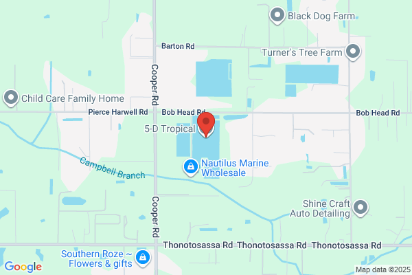 Mikquatic Tropical Fish