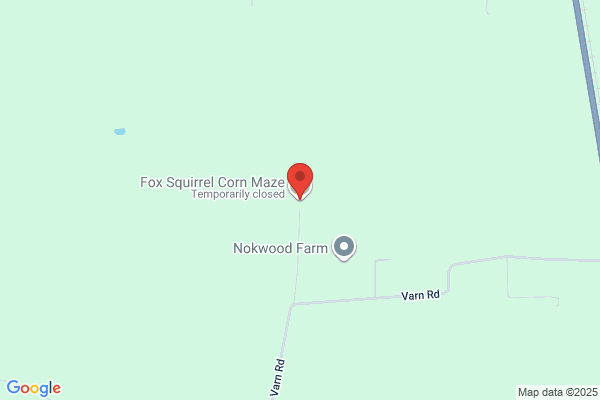 Fox Squirrel Corn Maze