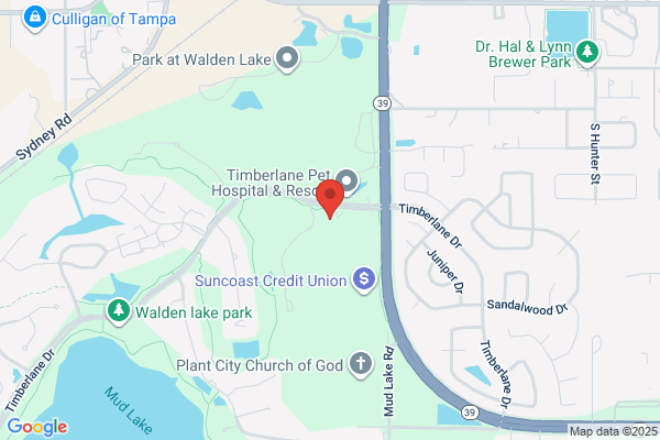 Walden Lake KinderCare