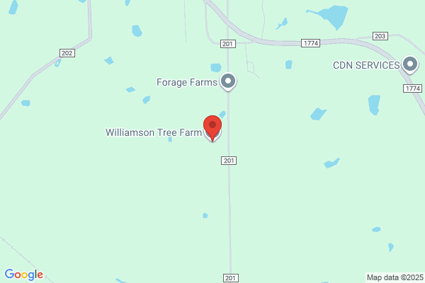 Williamson Tree Farm