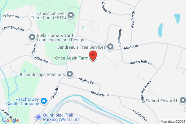 Once & Again Consignments Llc