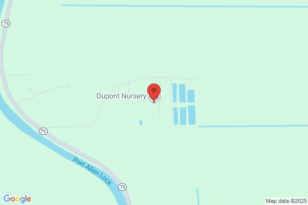 Dupont Nursery Inc