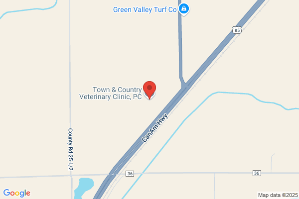 Town & Country Veterinary Clinic PC
