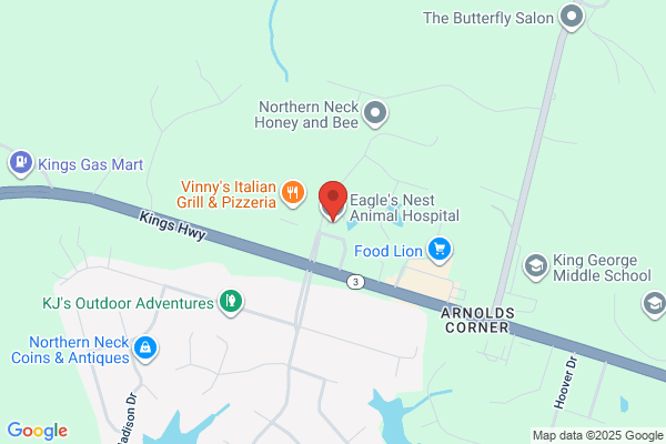 Eagle's Nest Veterinary Hospital