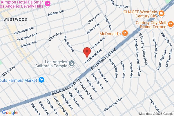 Soma Syntax Studio