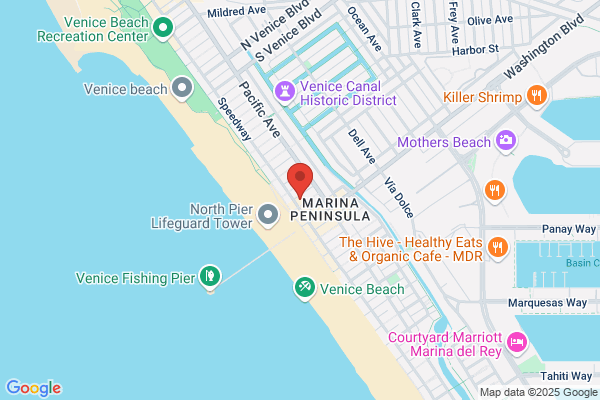 The Venice Beach House