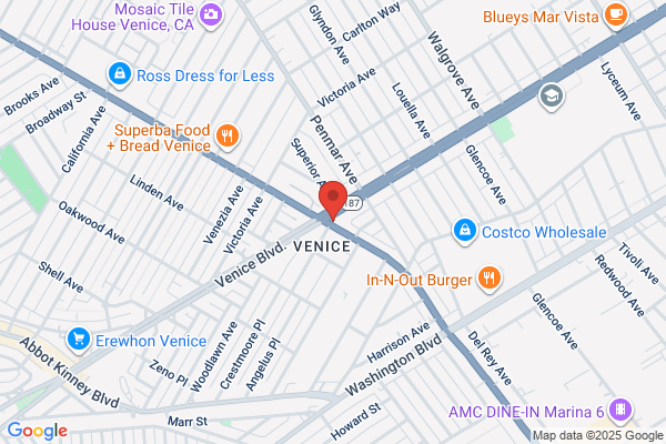 South Venice Llc