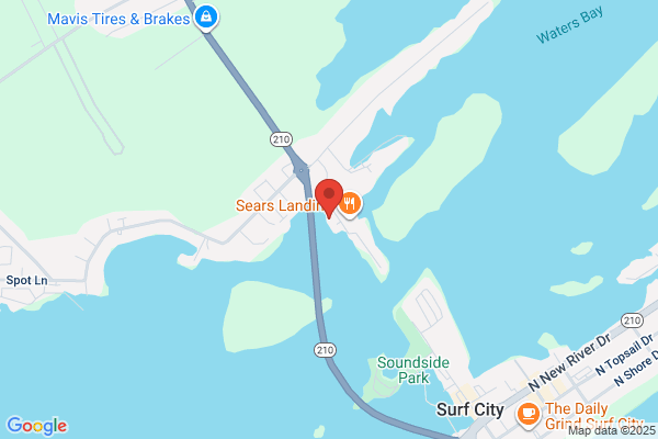 Surf View Cafe Inc