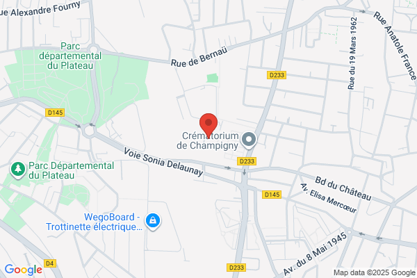 Audio Marketing Systems Inc