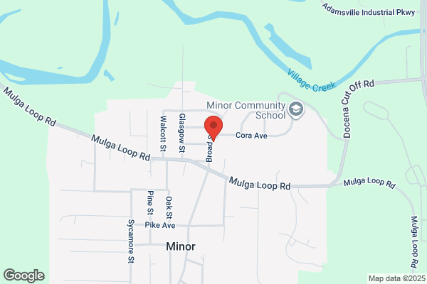Fire Departments, Minor