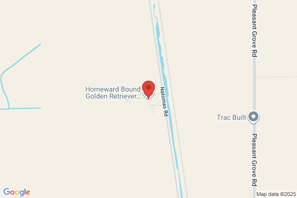 Homeward Bound Golden Retriever Rescue