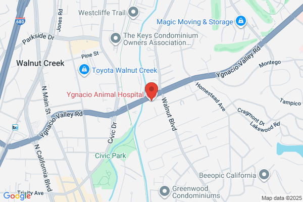 Valley Veterinary Hospital