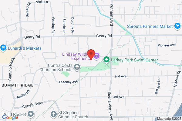 Zelis Bruce P Law Office Of