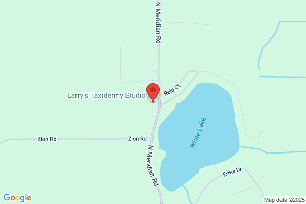 Larrys Taxidermy Studio