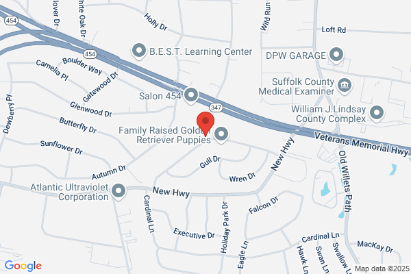 Empire Estate Planning & Financial Svces Inc